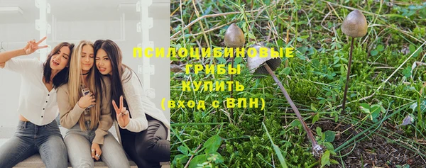 меф Кинешма