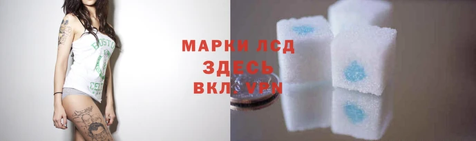 PSILOCYBIN Киреевск