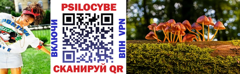 Псилоцибиновые грибы Psilocybine cubensis  наркошоп  Лангепас 